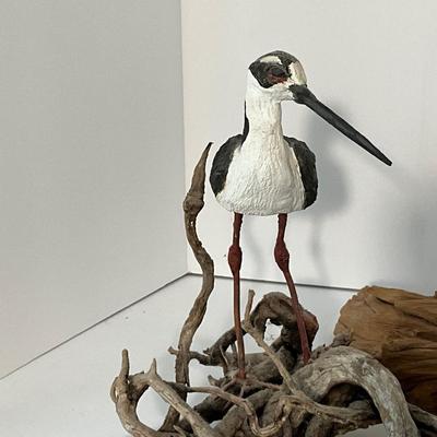 Shore Bird Lot