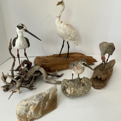 Shore Bird Lot