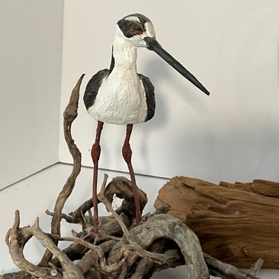 Shore Bird Lot