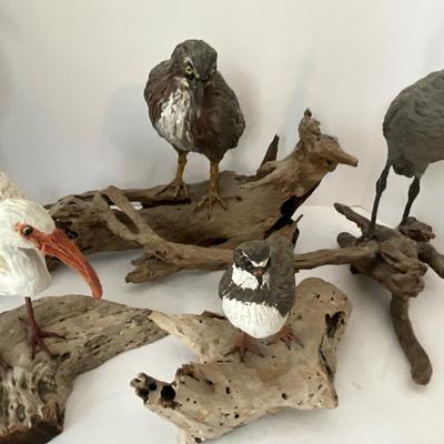 Shore Bird Lot