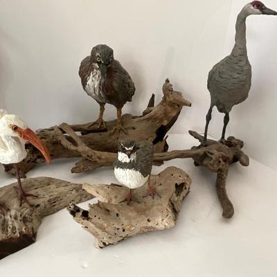 Shore Bird Lot