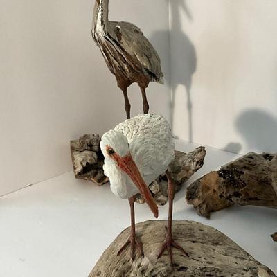 Shore Bird Lot