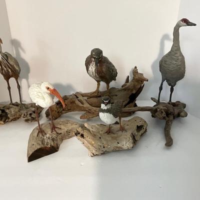 Shore Bird Lot