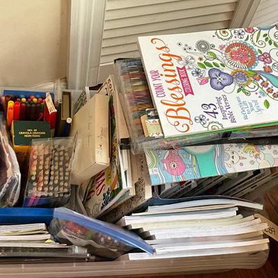 Huge Adult Coloring Book Lot