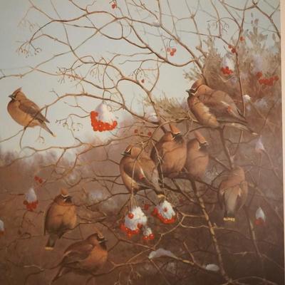 OWEN GROMME CEDAR WAXWINGS IN WINTER   66/ 500 SIGNED PROFESSIONAL MATT AND FRAMED