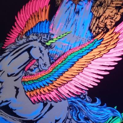 Vintage Original 1986 Pegasus Blacklight