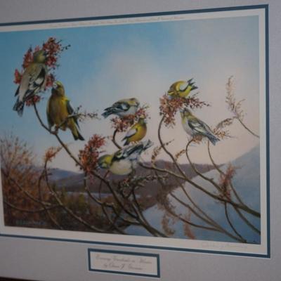 SIGNED OWEN GROMME EVENING GROSBEAKS IN WINTER MATTED /FRAMED