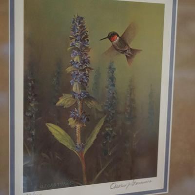 SIGNED OWEN GROMME "HUMMINGBIRD" QUALITY MATT AND FRAMED