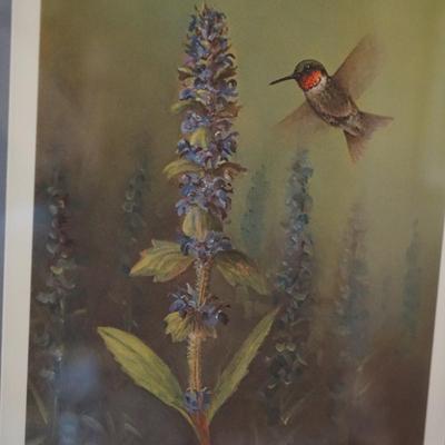 SIGNED OWEN GROMME "HUMMINGBIRD" QUALITY MATT AND FRAMED
