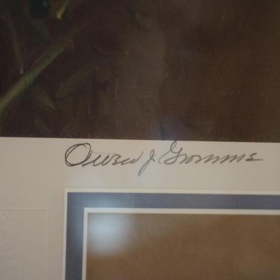 SIGNED OWEN GROMME "HUMMINGBIRD" QUALITY MATT AND FRAMED