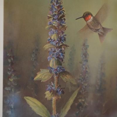 SIGNED OWEN GROMME "HUMMINGBIRD" QUALITY MATT AND FRAMED