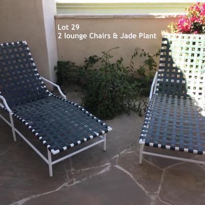 Two outdoor Patio Chairs & a bonus live jade plant