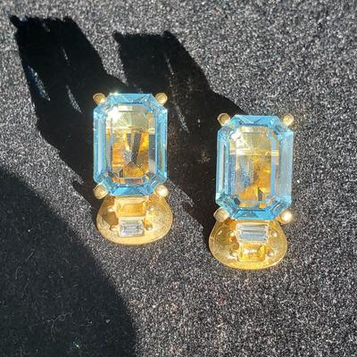 CHR Dior Clip Earrings