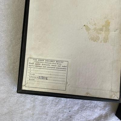 Lot of 4 Display Trays