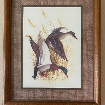 Charles E Murphy Duck Art