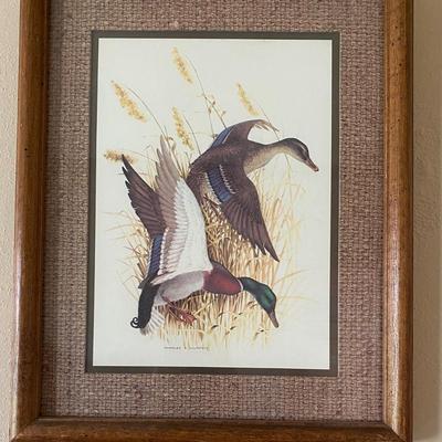 Charles E Murphy Duck Art