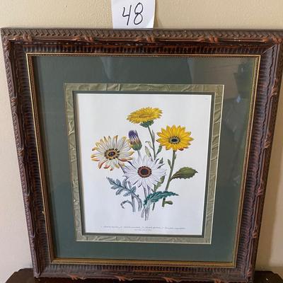 Spring Daisies Framed Picture