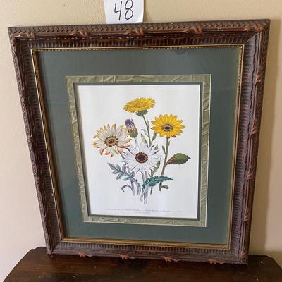Spring Daisies Framed Picture