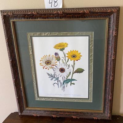 Spring Daisies Framed Picture
