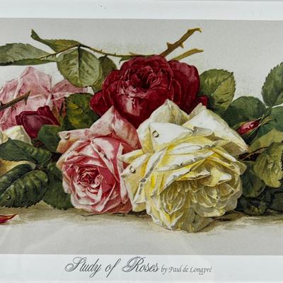 1156 Framed Print â€œStudy of Rosesâ€ by Paul de LongprÃ©