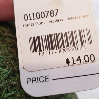 Large Moss Balls
