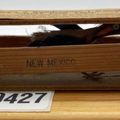 Roadrunner souvenir