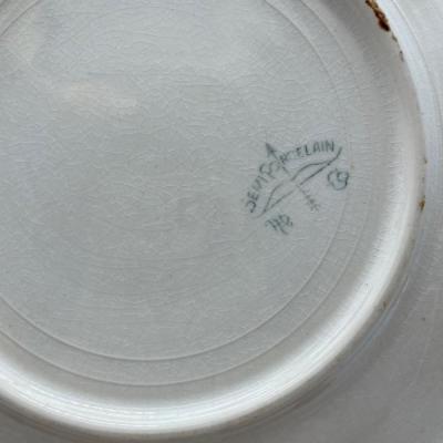 Semi porcelain plate
