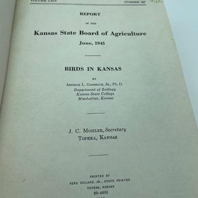 Birds,Insects and coyotes
