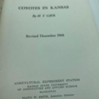 Birds,Insects and coyotes