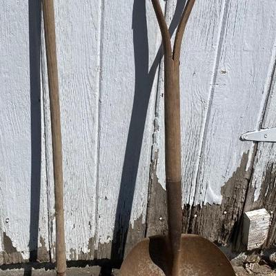 Vintage Scoop & Slithe