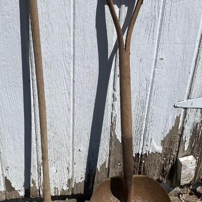 Vintage Scoop & Slithe