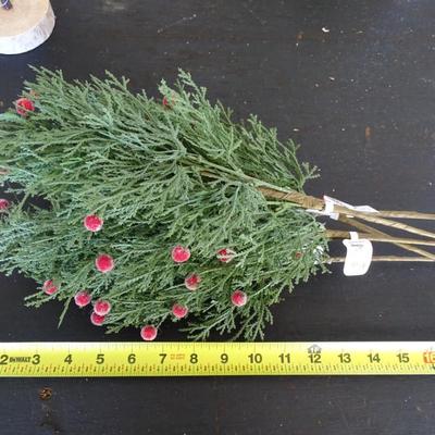 Nice Selection of Christmas DÃ©cor