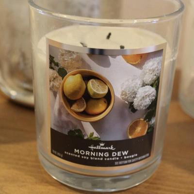 Collection of Decorative Candles