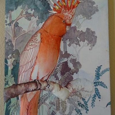 Wall Art - Australian Pink Cockatoo