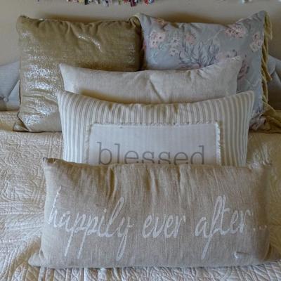 Collection of Throw Pillows