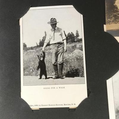 ANTIQUE POSTCARD ALBUM