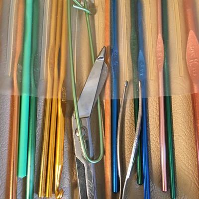 Carrying case of crochet needles