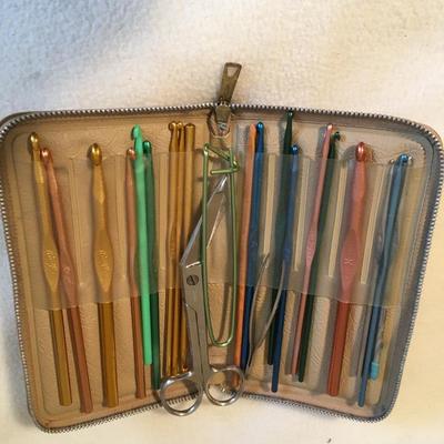 Carrying case of crochet needles