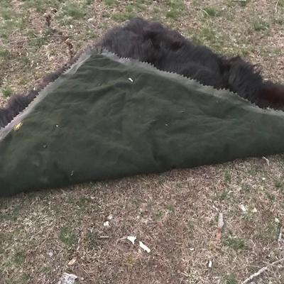 VINTAGE BEAR SKIN RUG/ROBE