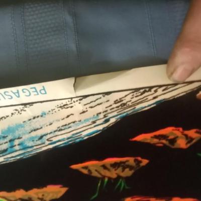 Vintage Original 1986 Pegasus Blacklight