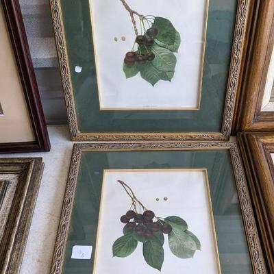 Framed Art Assortment