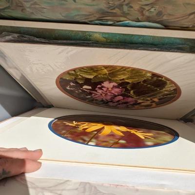 Prints and Rolled Canvas Art