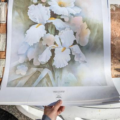 Prints and Rolled Canvas Art