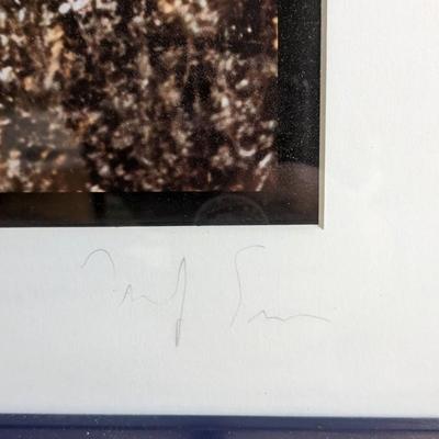 Framed Landscapes