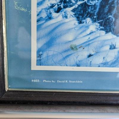 Framed Landscapes