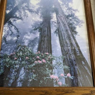 Framed Landscapes