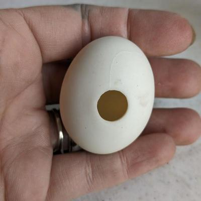 Eggcellent