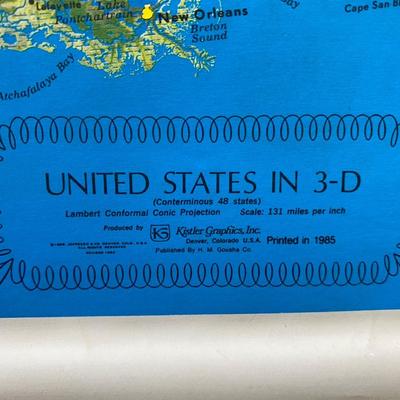 Unframed Vintage Retro 3D Blow Mold Plastic Map of the United States