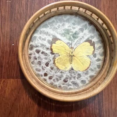 !RATTAN BUTTERFLY COASTER SET