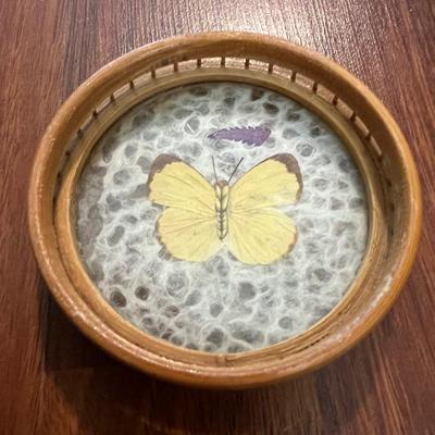 !RATTAN BUTTERFLY COASTER SET